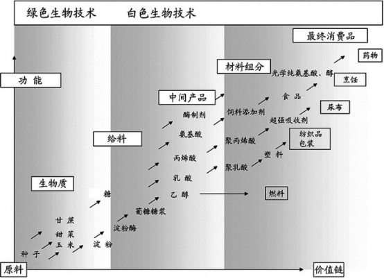 2023年全球及中国工业生物技术行业下游细分应用市场发展规模研究预测及未来市场投资潜力可行性研究